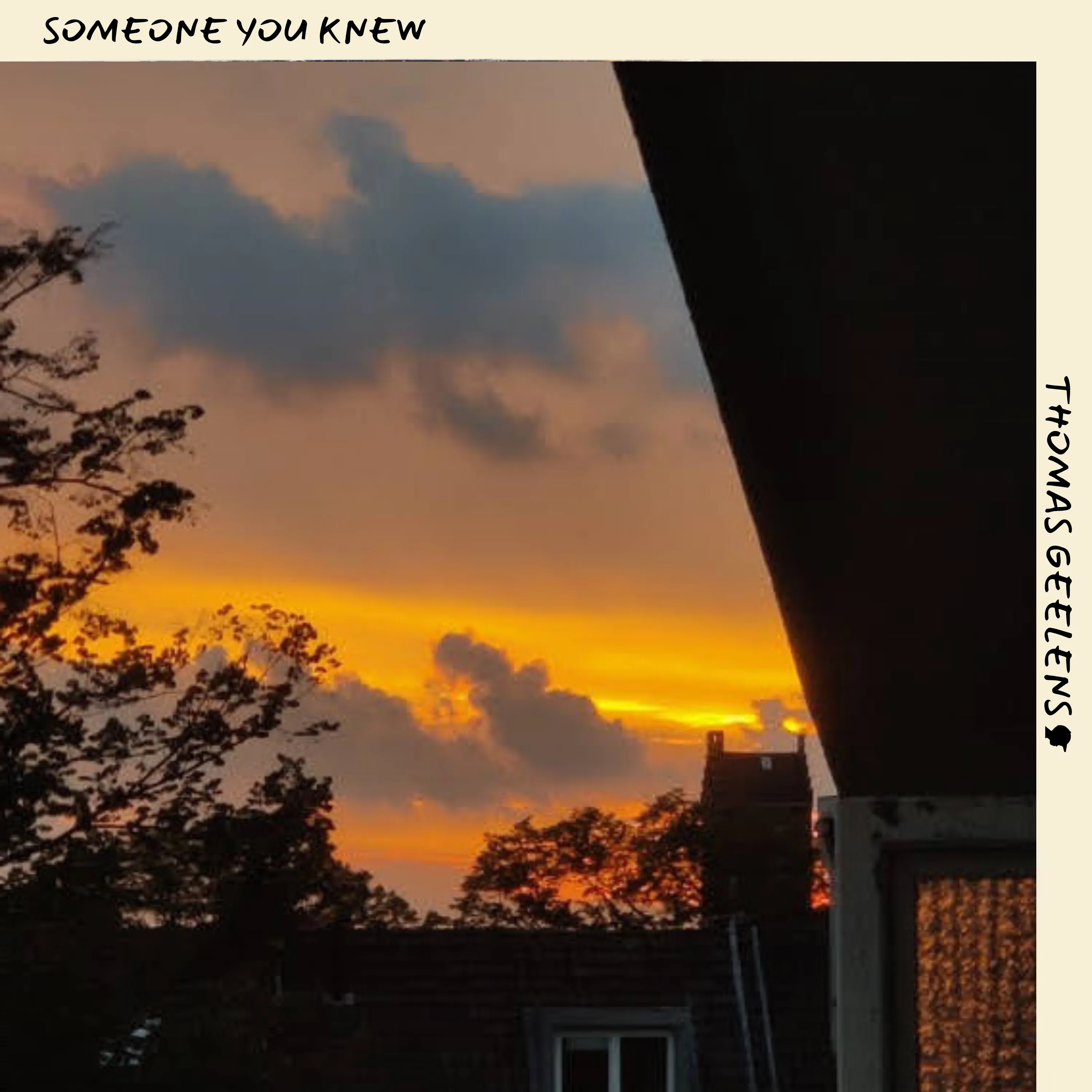 Someone You Knew